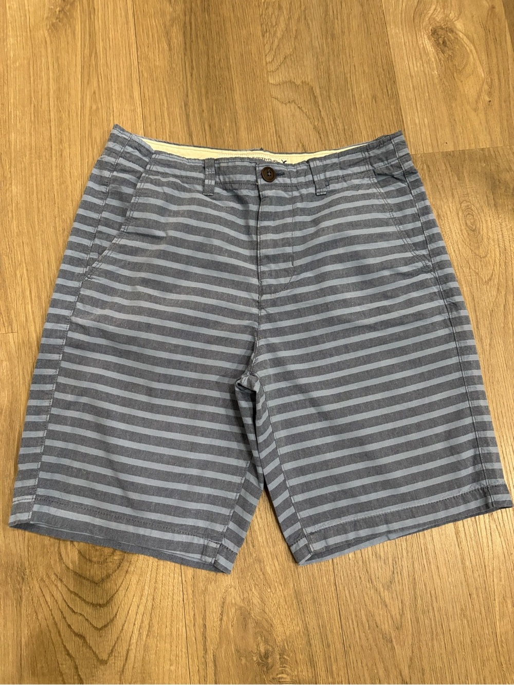American Eagle Outfitters Men's Blue Striped Flat Front Shorts Size 31
